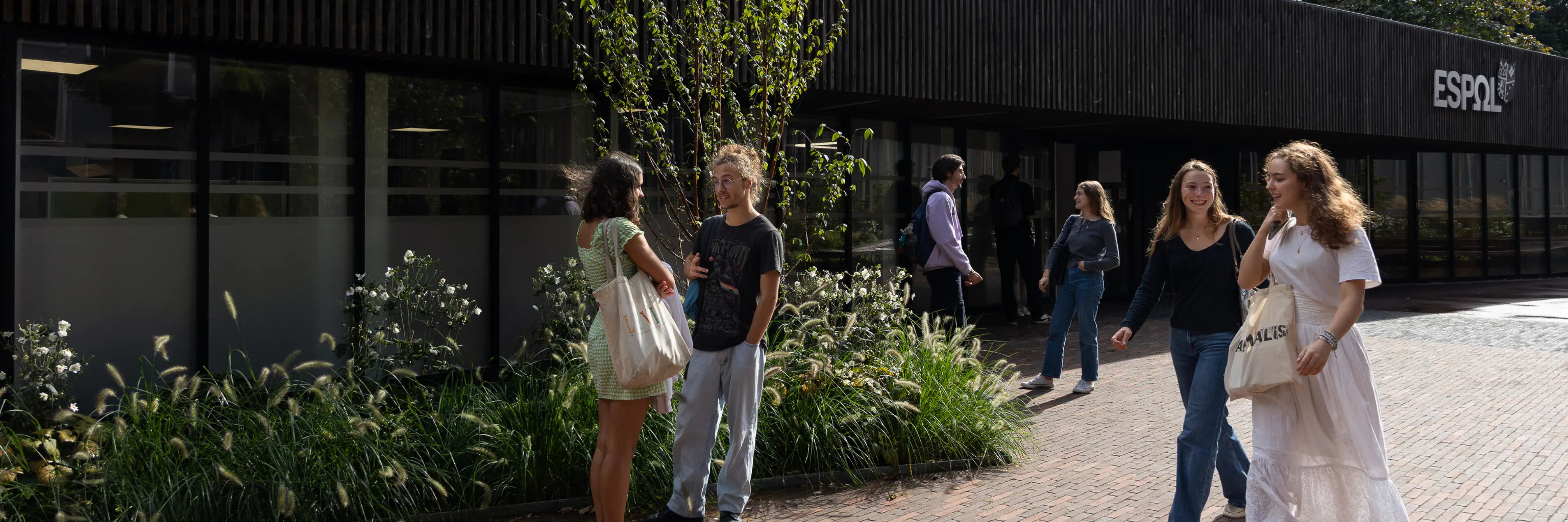 Study cover for International and Security Politics