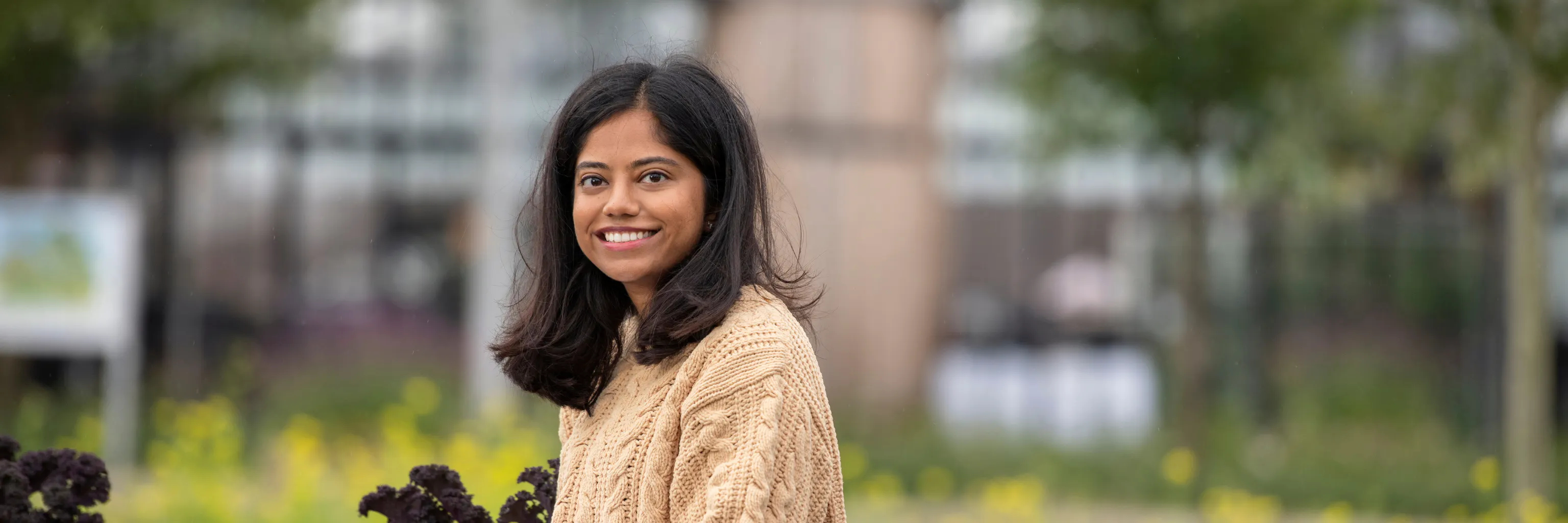 Study cover for Food Systems Innovation