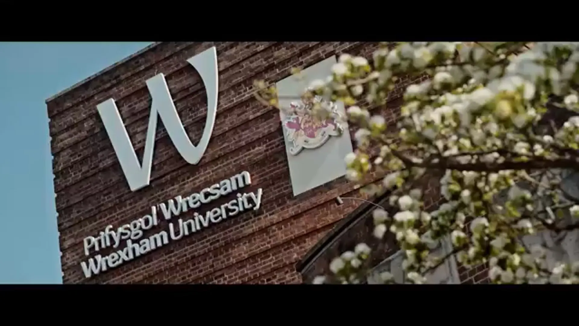 Early Childhood Studies (Hons) (with Foundation Year) at Wrexham University Image 12