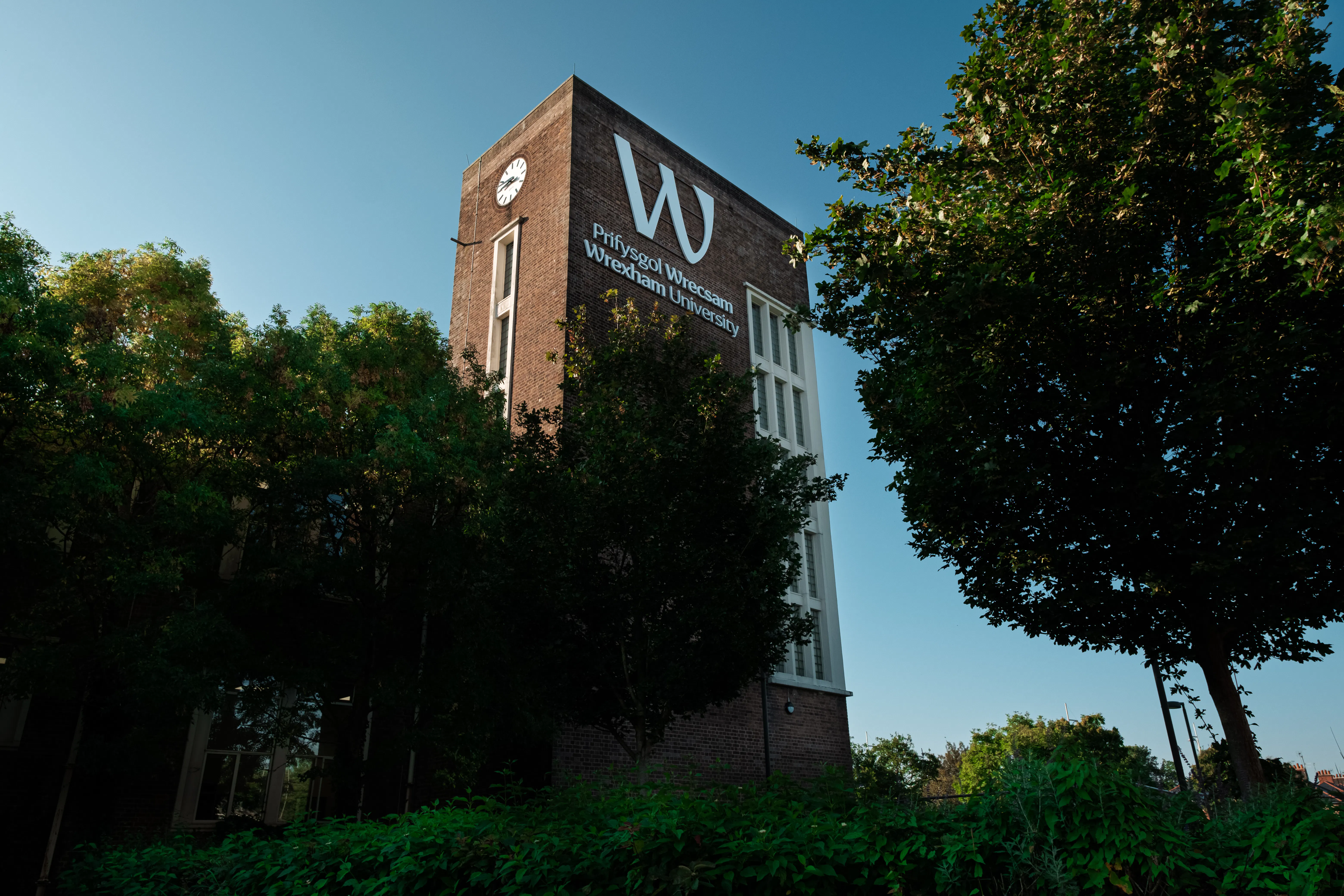 Study cover for Illustration (Hons)