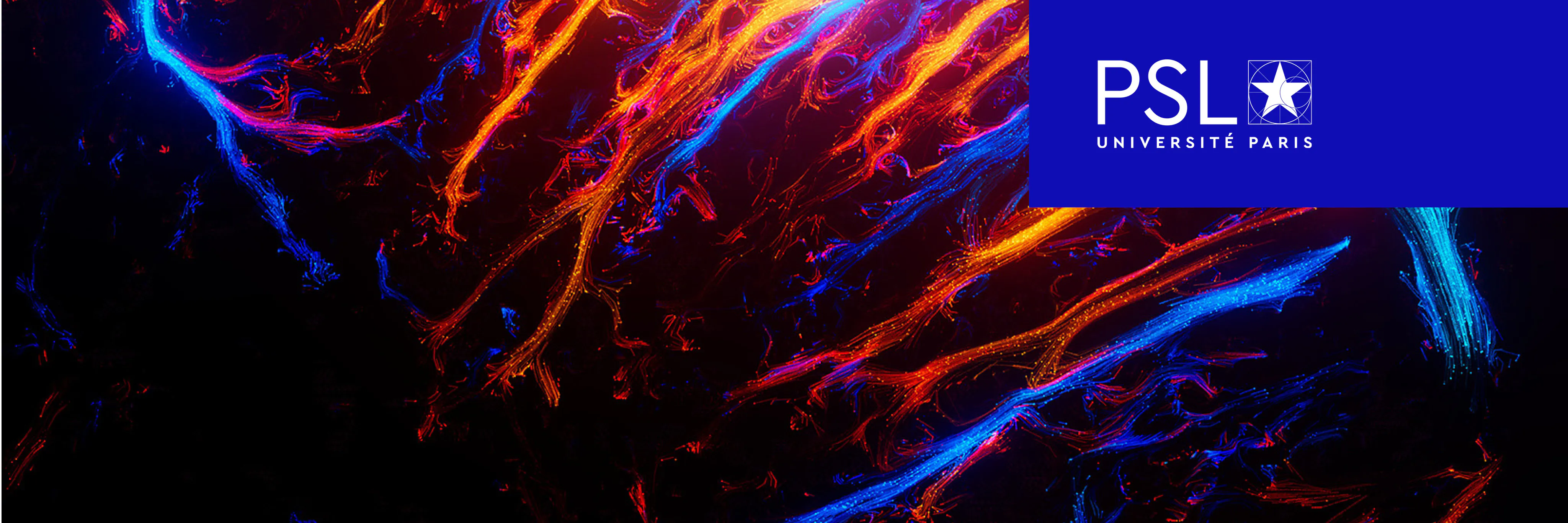 Study cover for BioMedical Engineering