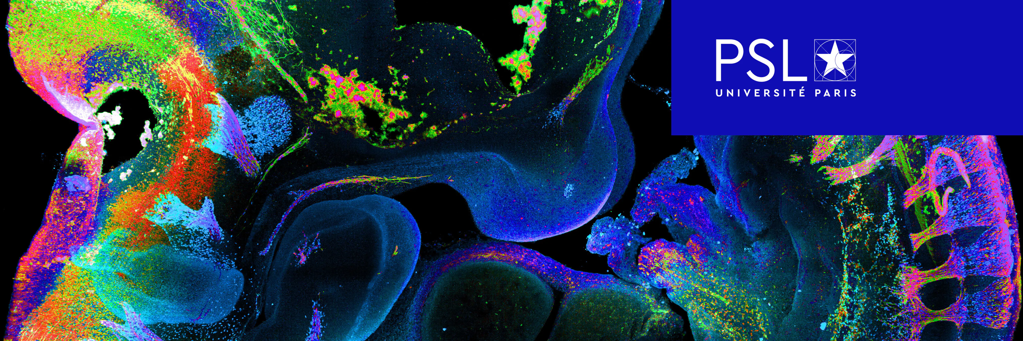 Study cover for Materials Science and Engineering