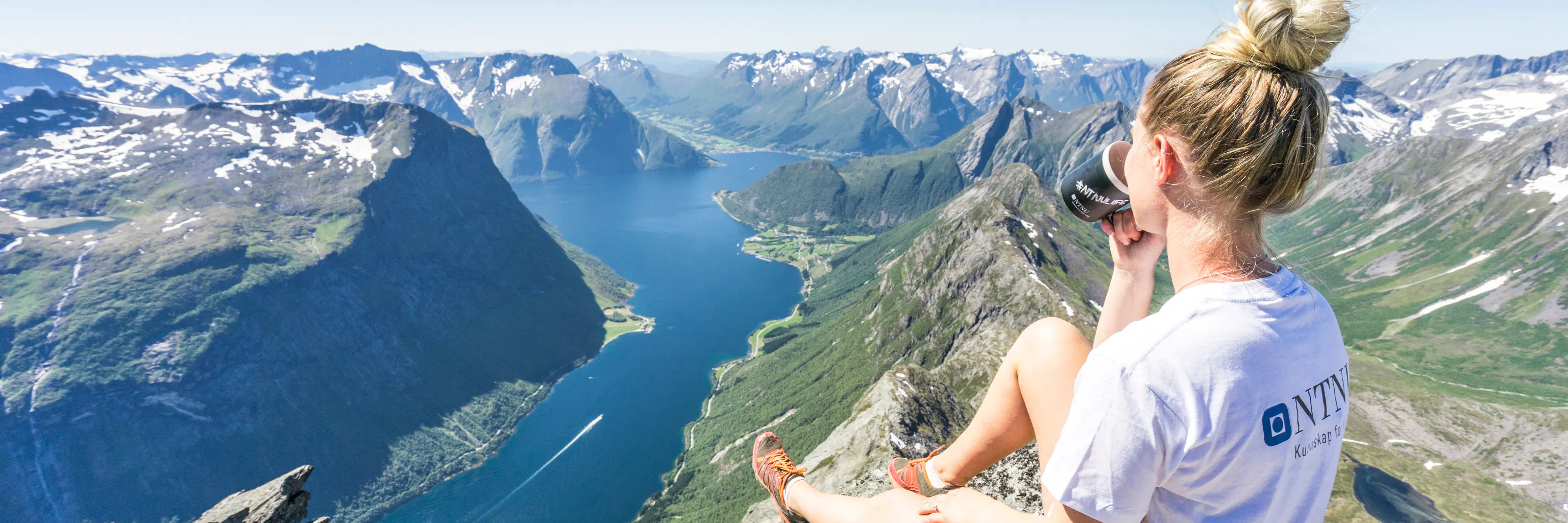 Study cover for Management of Innovation and Sustainable Business Development