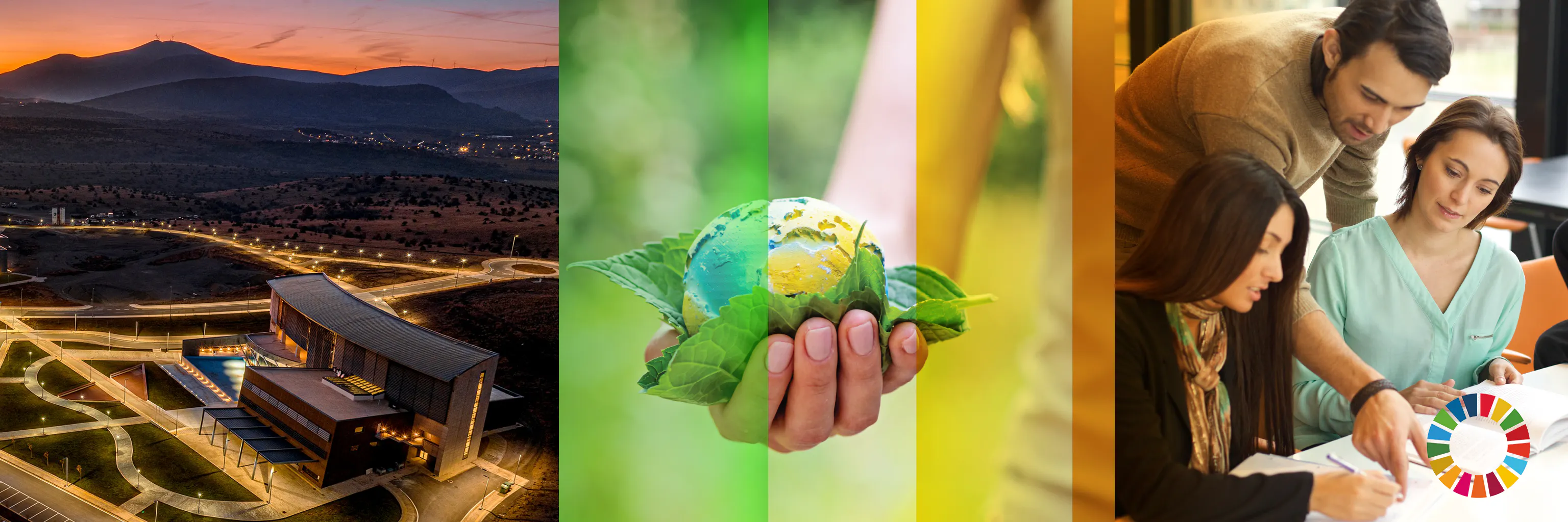 Study cover for Economics and Sustainable Development