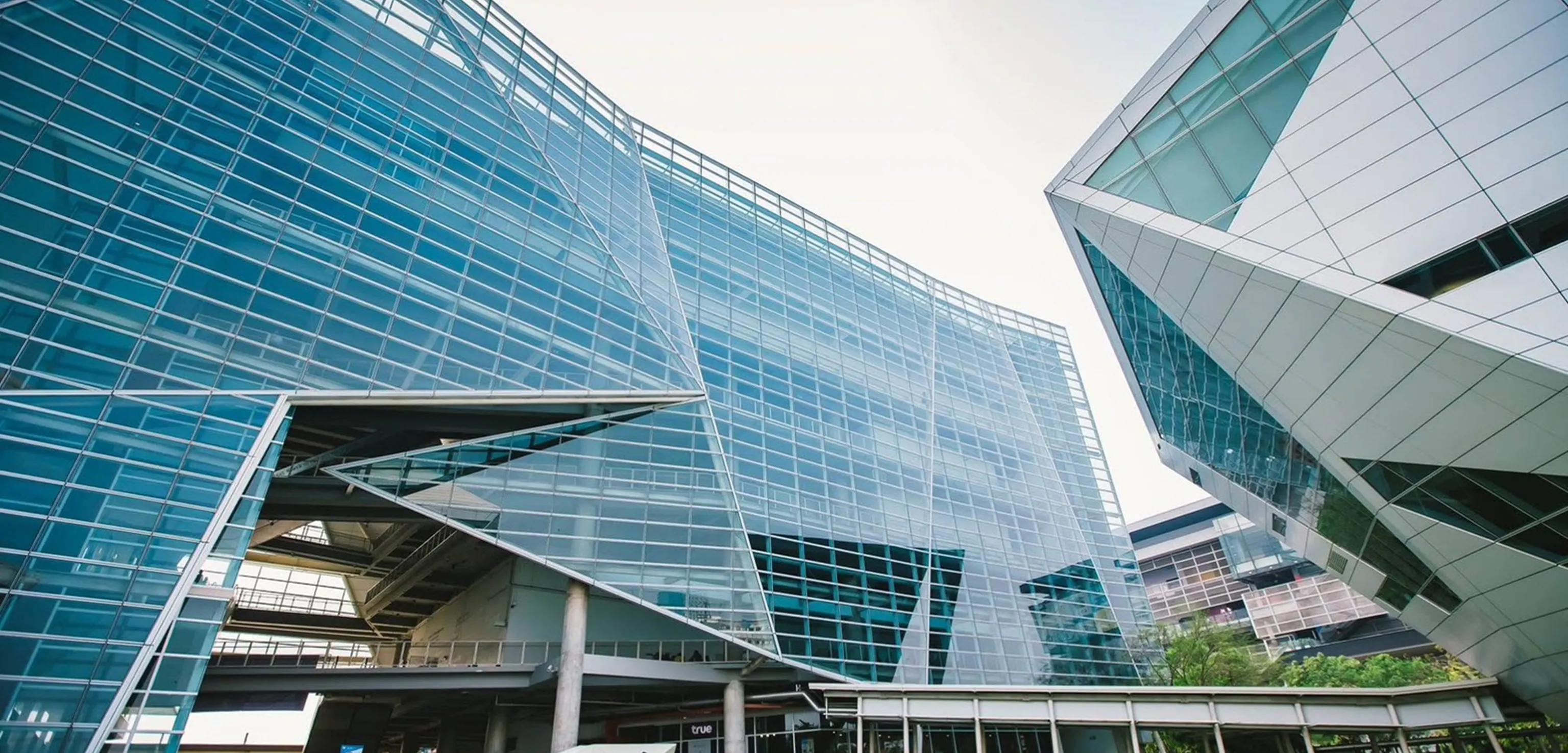 Study cover for Knowledge Management and Innovation Management (International Program)