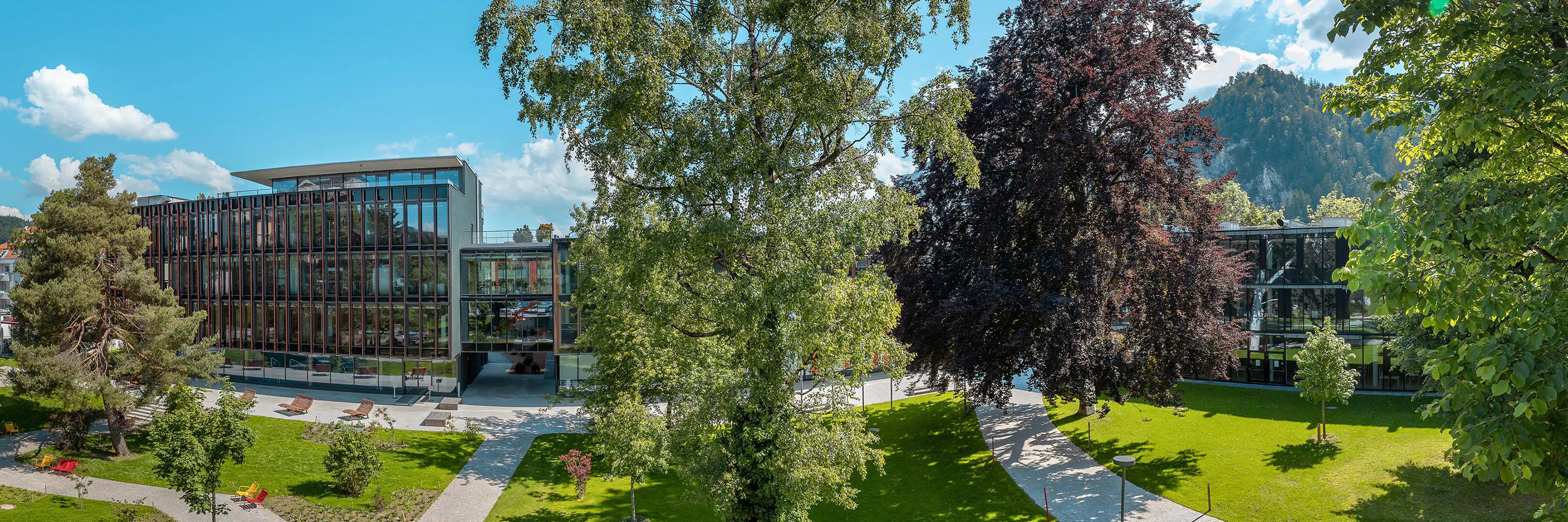 Study cover for Sports, Culture and Event Management