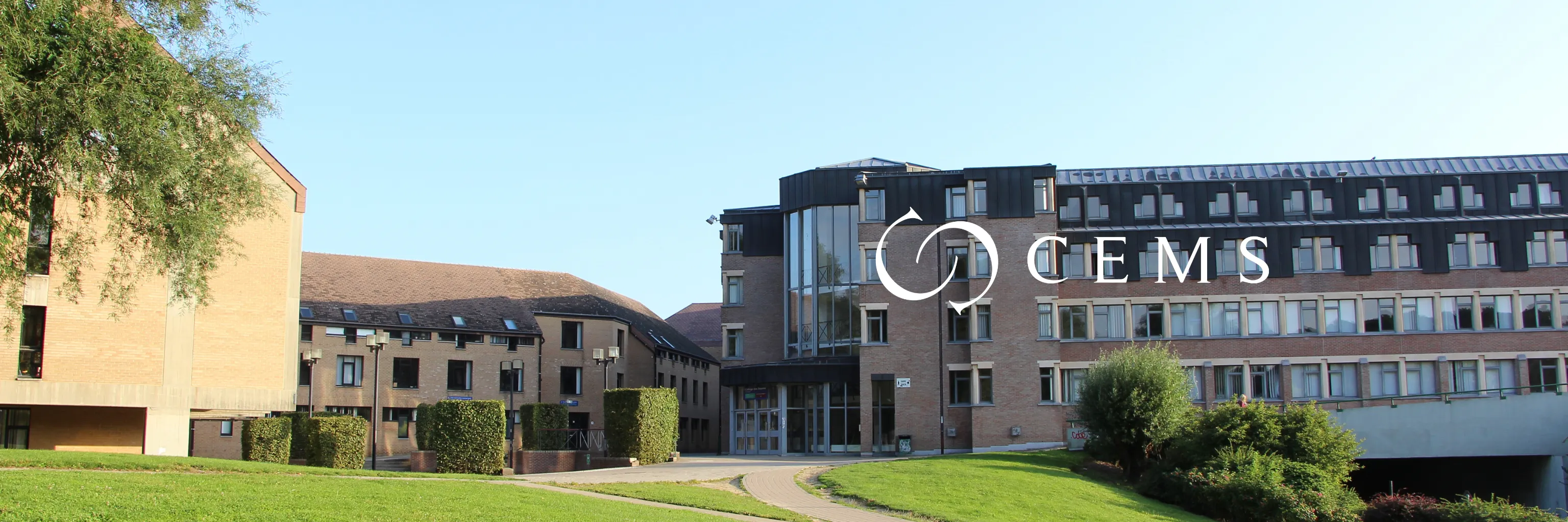 Study cover for CEMS - International Management (MIM)