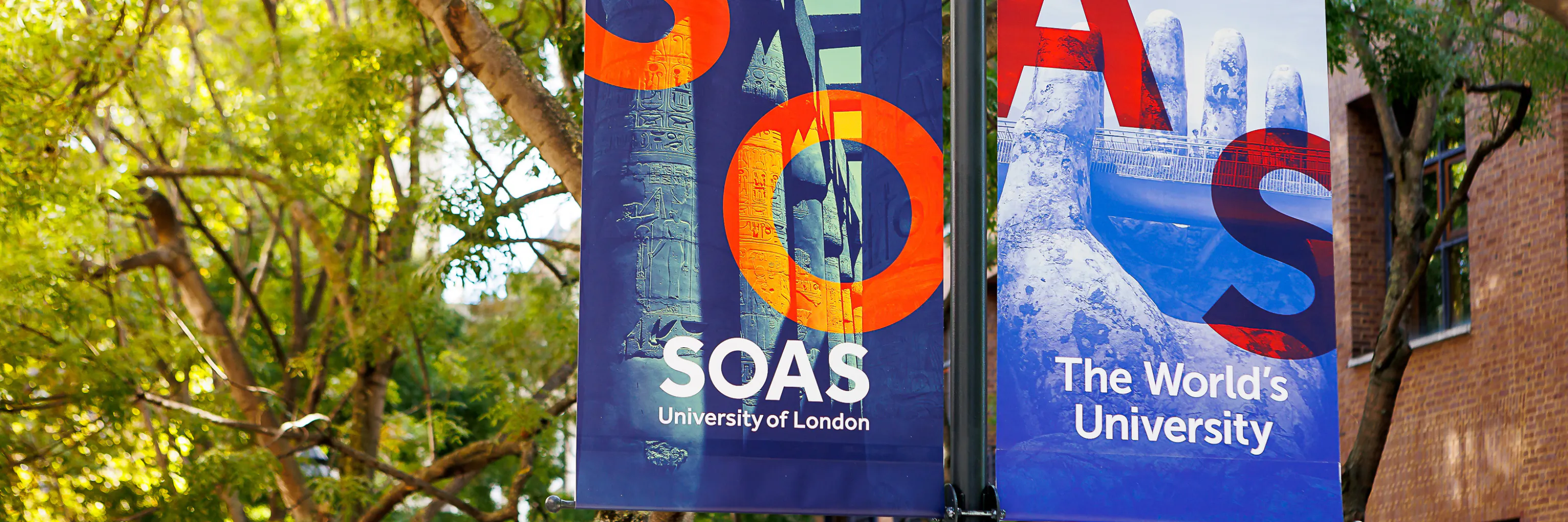 Study cover for Public Policy and Management with Placement Year