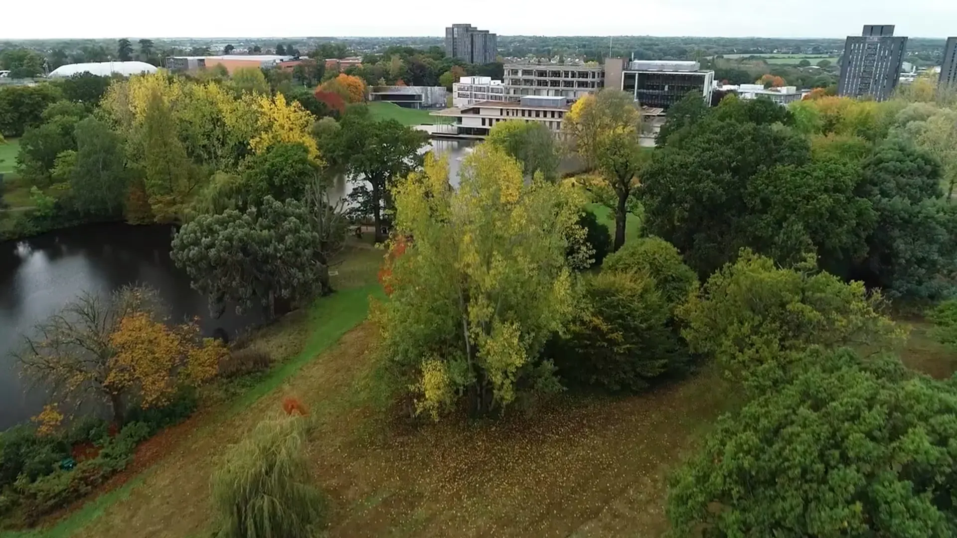 Childhood Studies (Including Foundation Year) at University of Essex Image 13