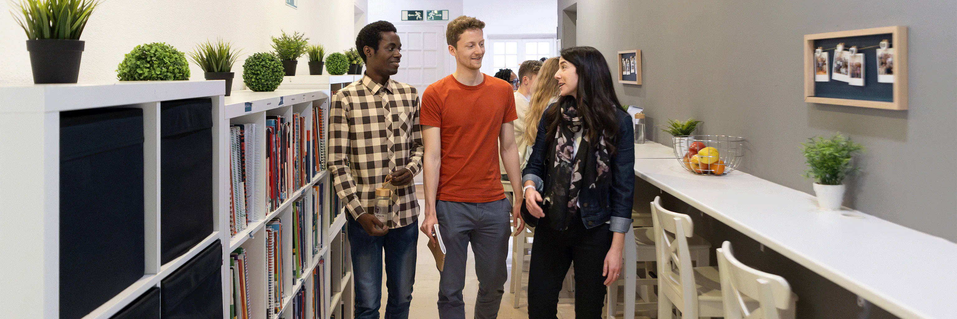 Study cover for Business Administration and Spanish