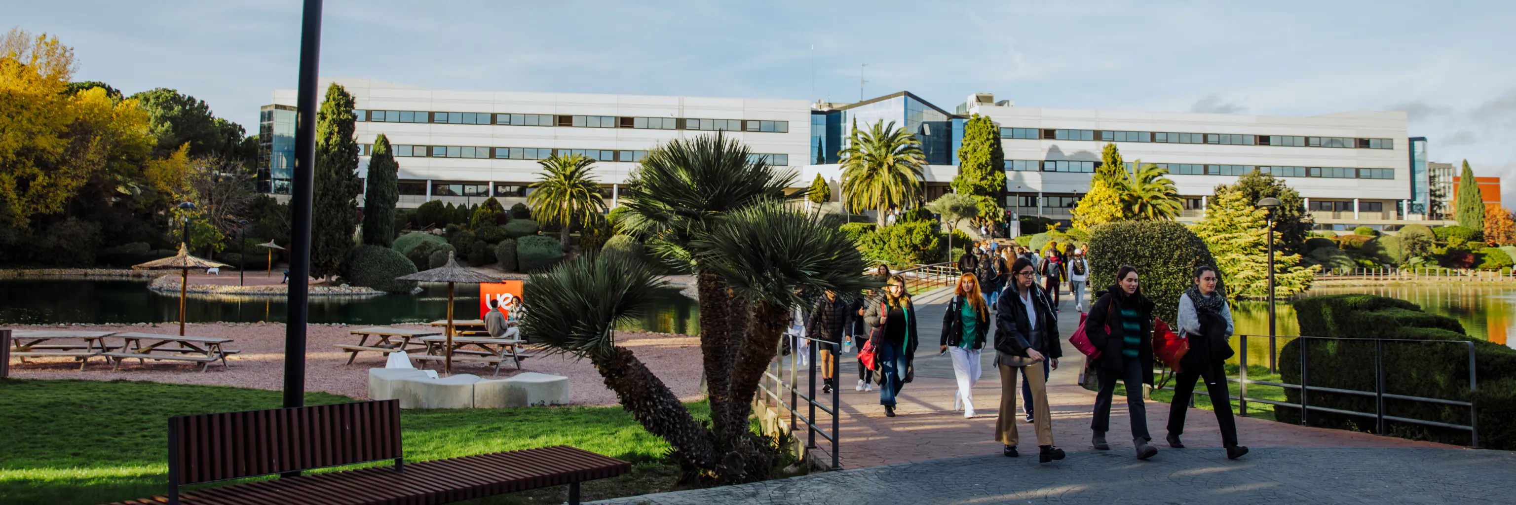 Study cover for Digital Graphic Design (Online)