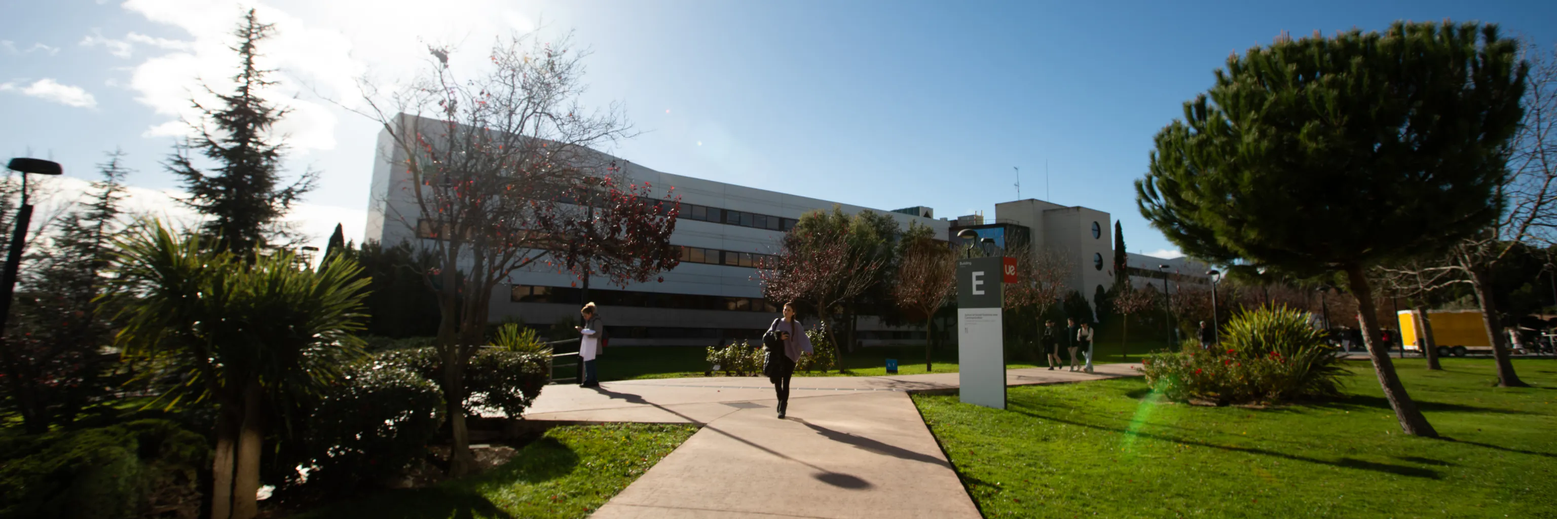 Study cover for UX-UI Design (Online)