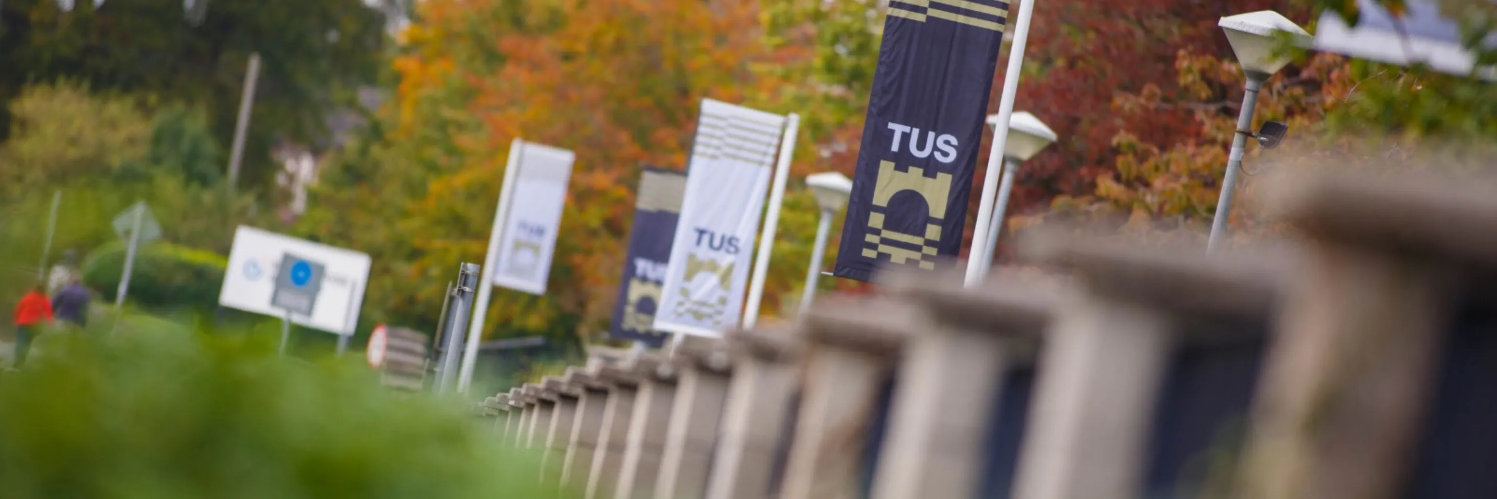 Study cover for Fine Art