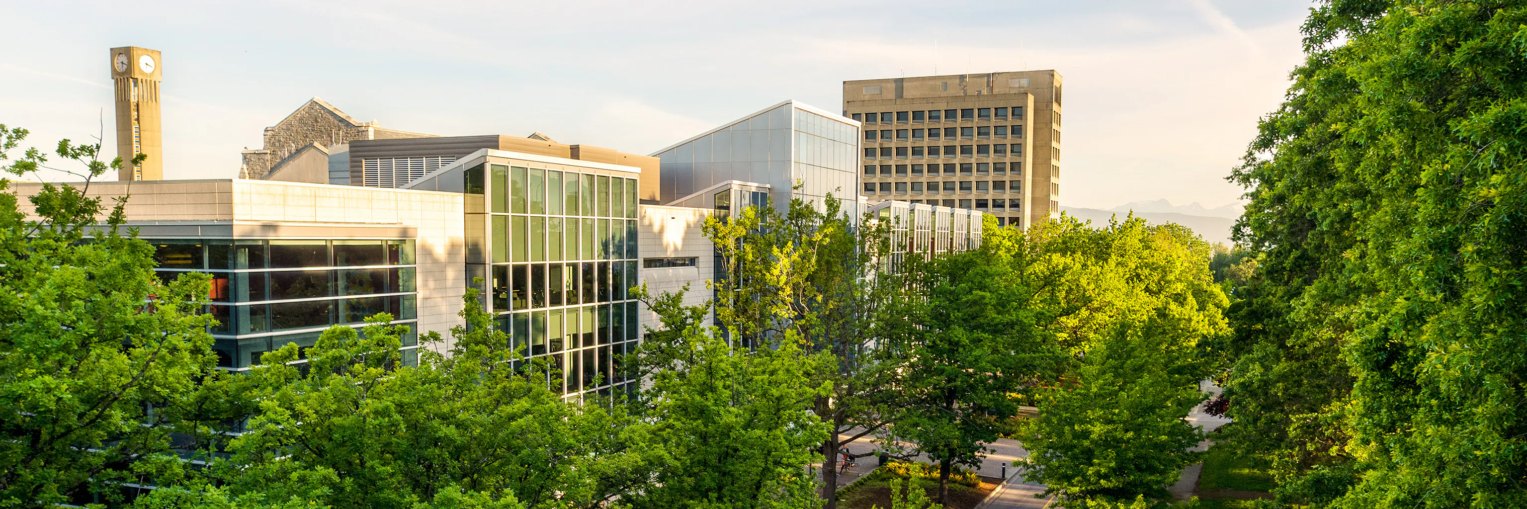 Study cover for Green Business