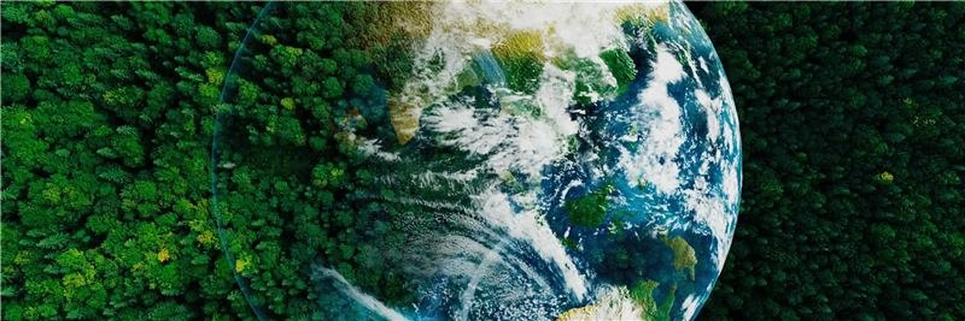 Study cover for Climate Change and Sustainable Solutions (Online)