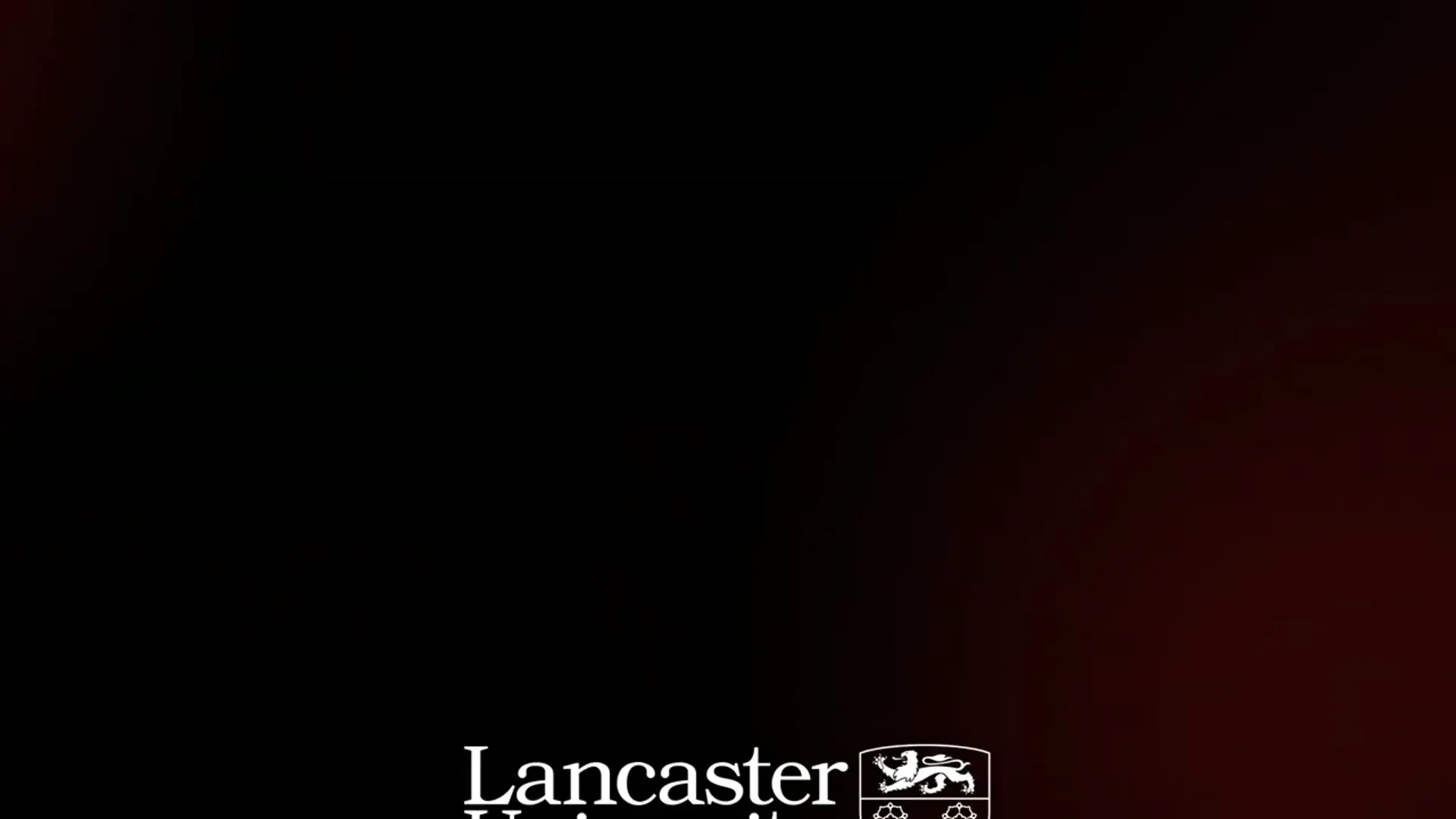 Business Analytics at Lancaster University Leipzig Image 13