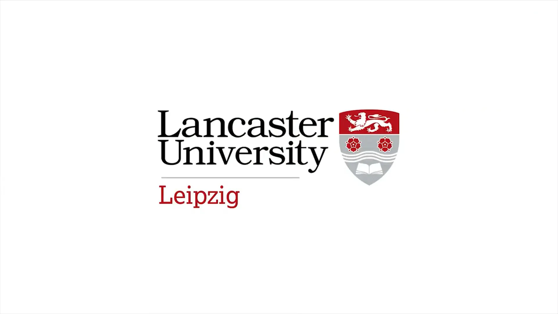 Business Analytics at Lancaster University Leipzig Image 12