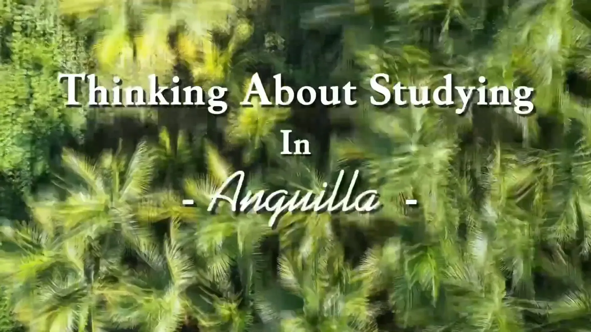 Thinking about studying medicine in Anguilla
