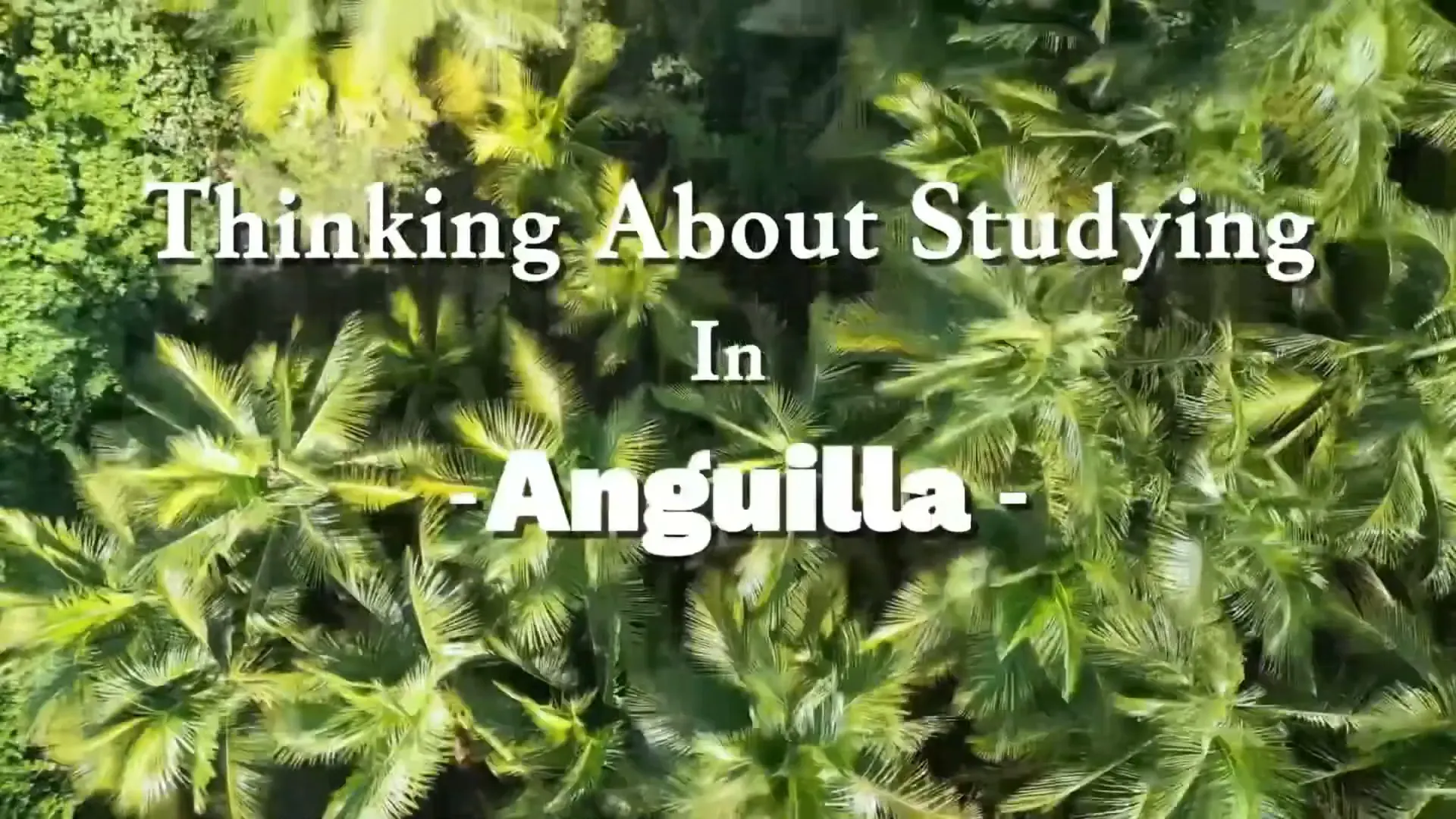 Thinking about studying medicine in Anguilla