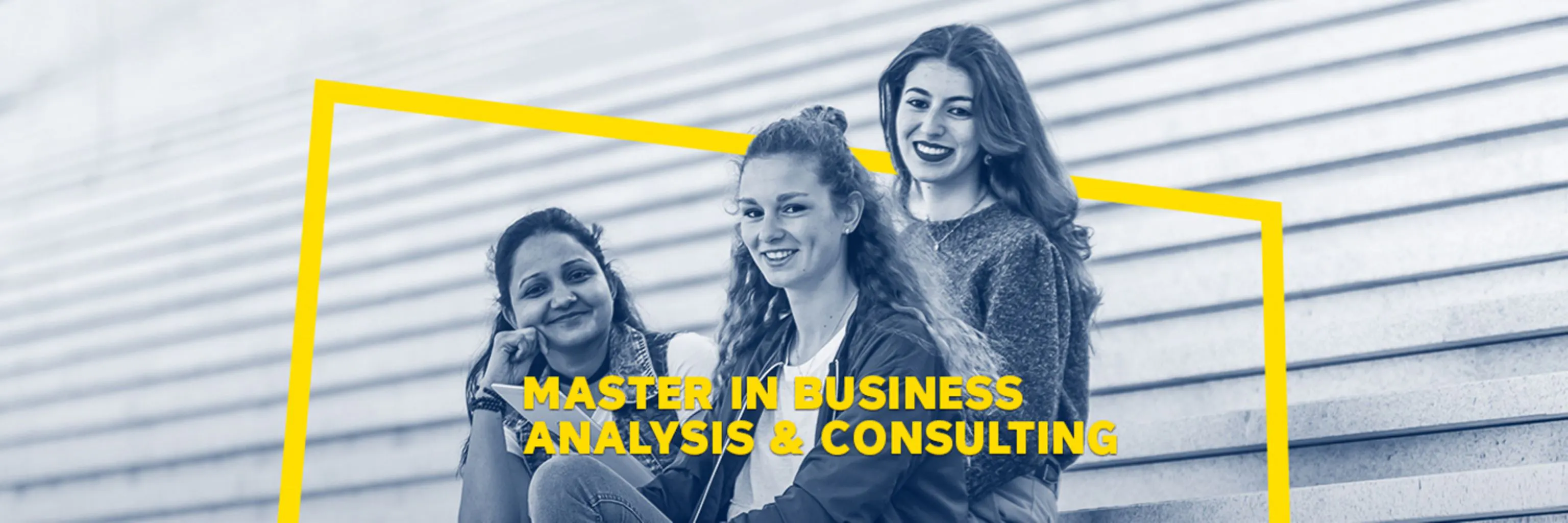 Study cover for Business Analysis and Consulting