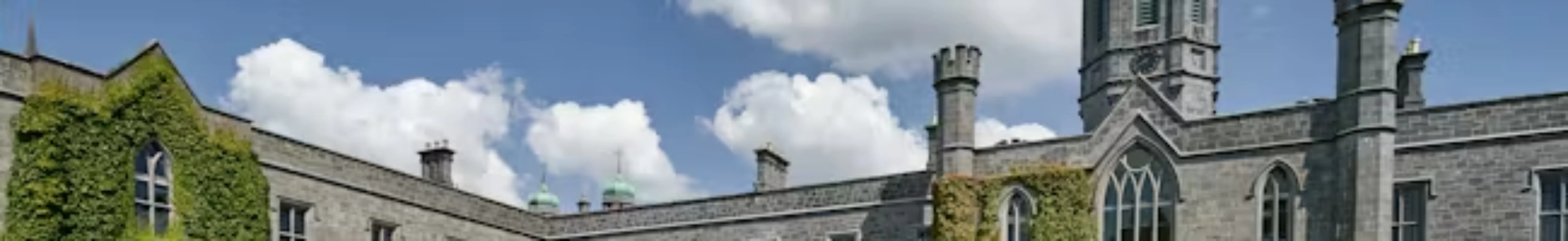 Study cover for Interventional Cardiovascular Medicine