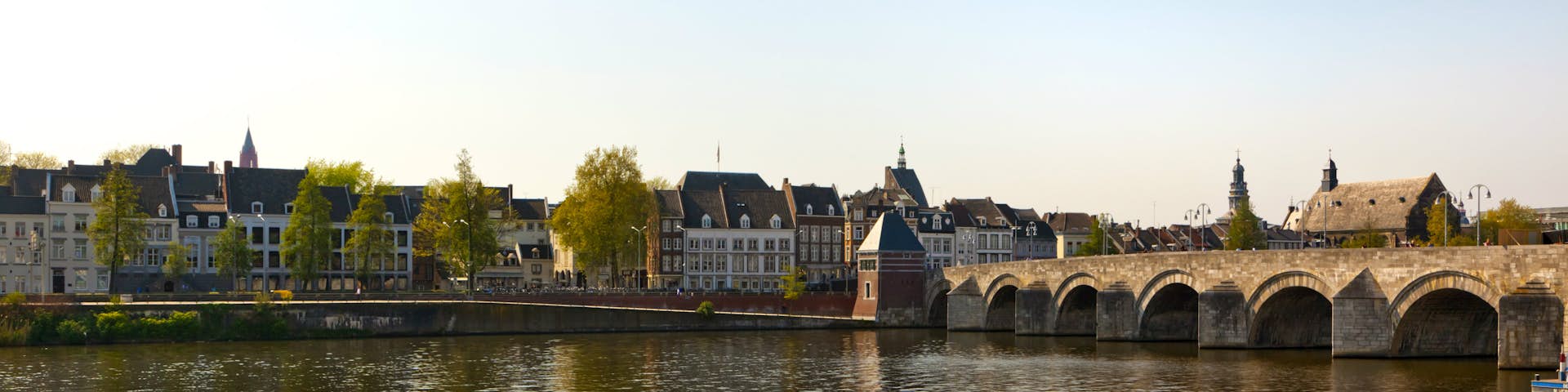Online Courses In Maastricht Netherlands Distancelearningportal Com