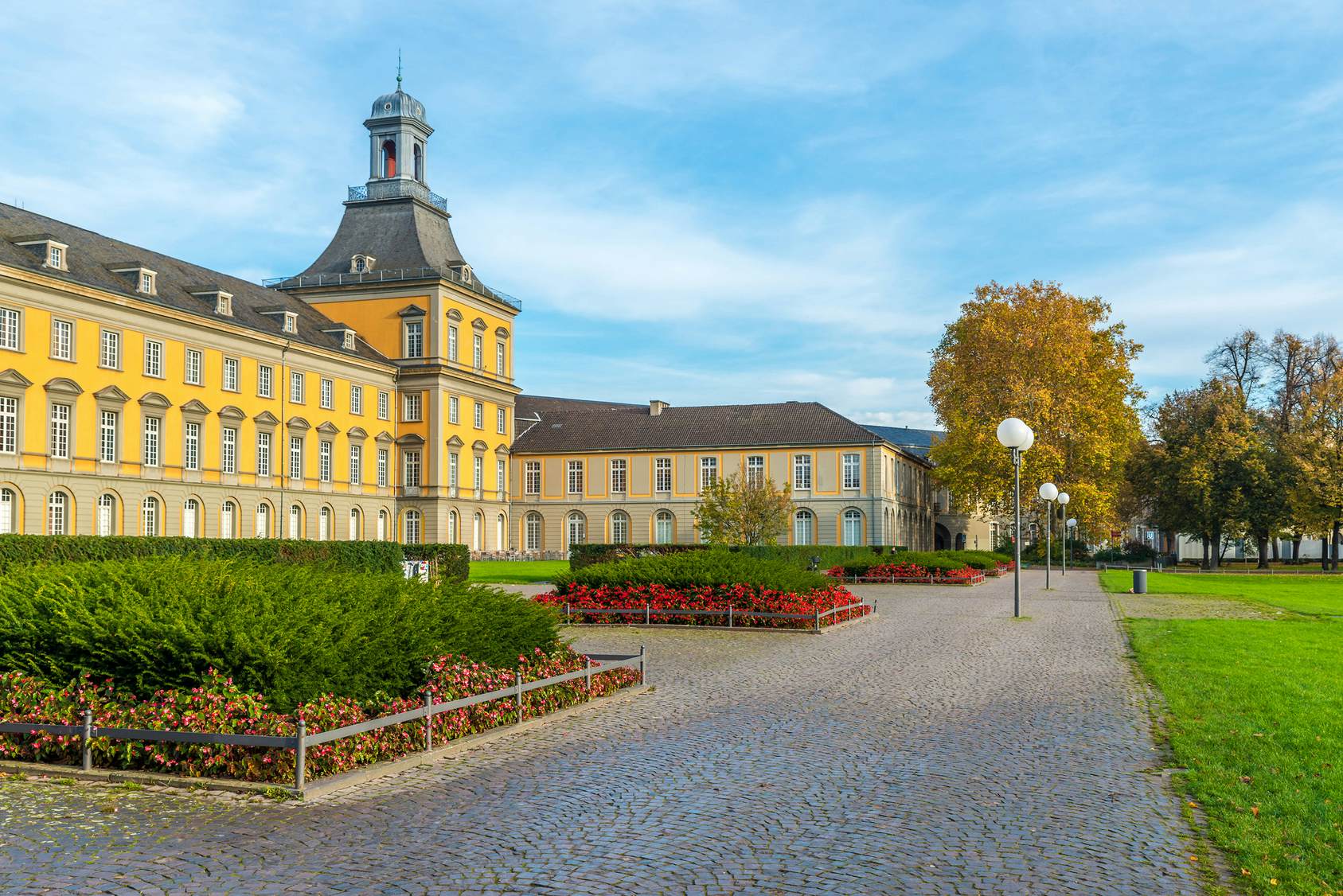 Enrol at a German university
