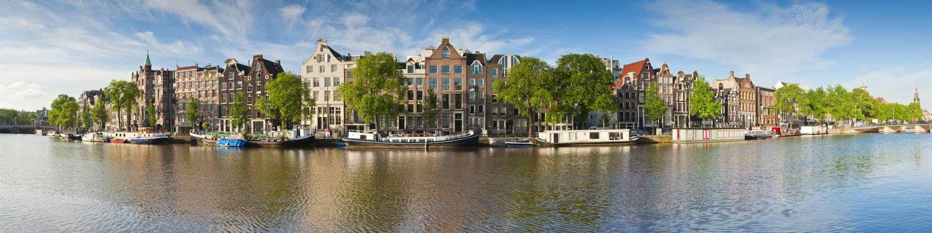 Online Courses In Amsterdam Netherlands Distancelearningportal Com